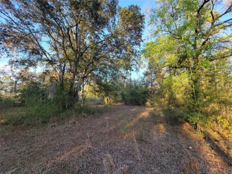 0 NE 20TH STREET