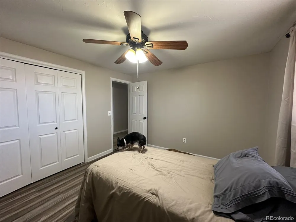 5879 Blue Spruce Avenue Alamosa, CO 81101