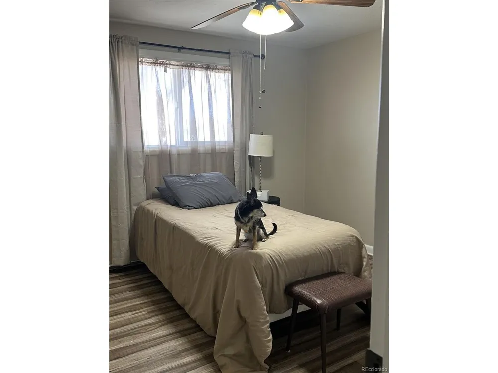 5879 Blue Spruce Avenue Alamosa, CO 81101