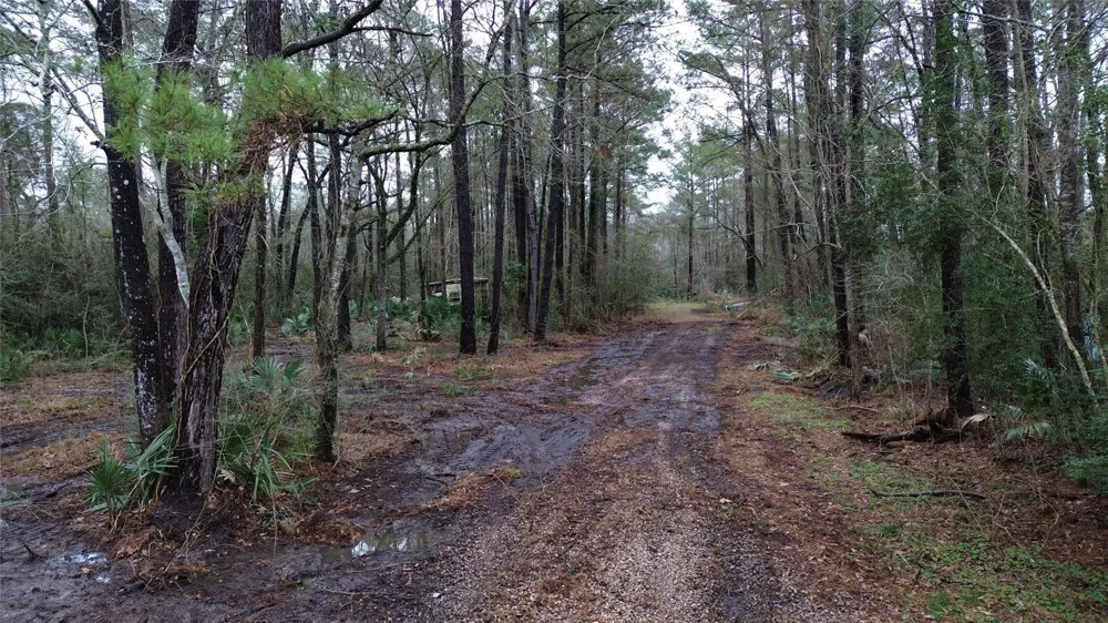 La Due Lane Crosby, TX 77532