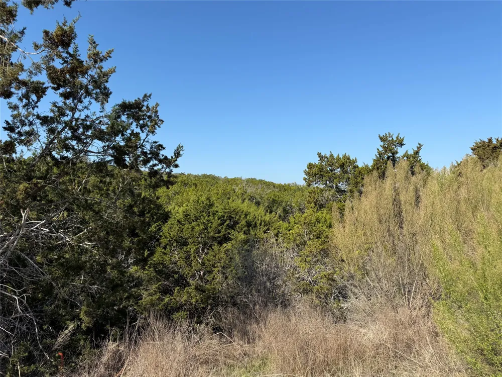 248 Kellog Fischer, TX 78623