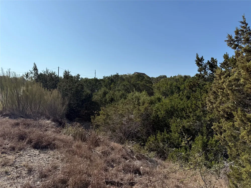 248 Kellog Fischer, TX 78623