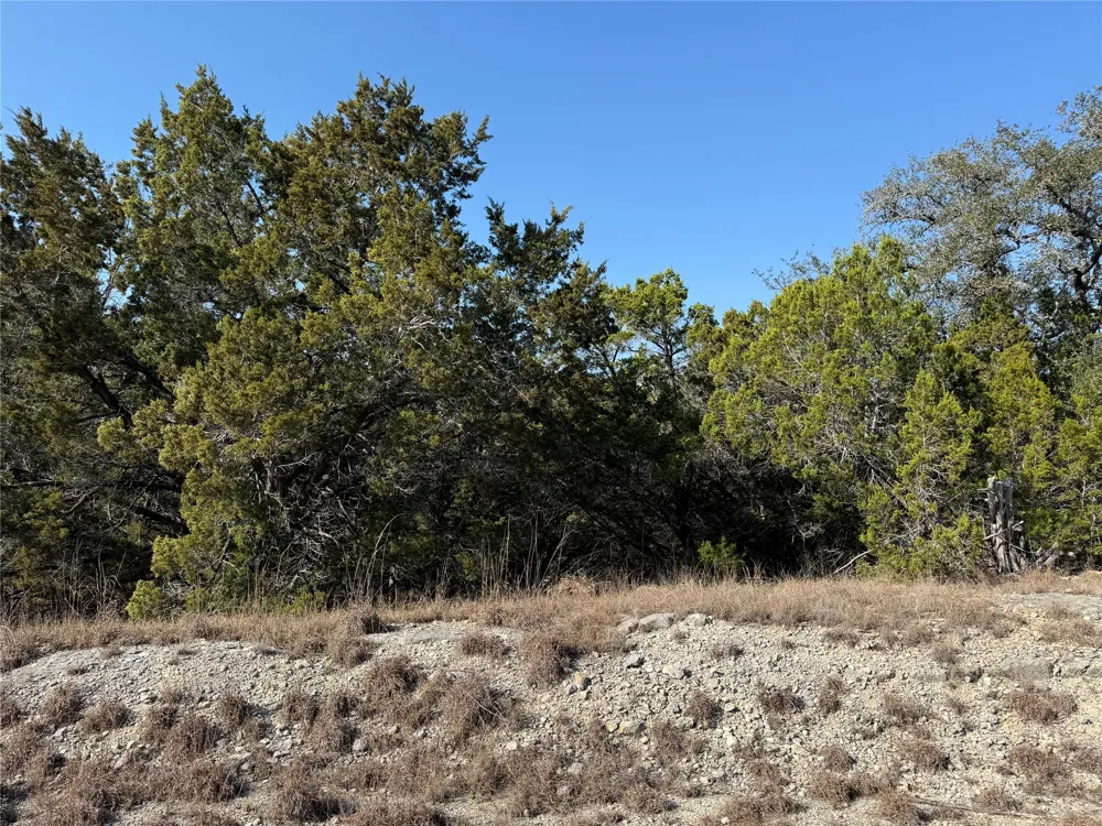 248 Kellog Fischer, TX 78623