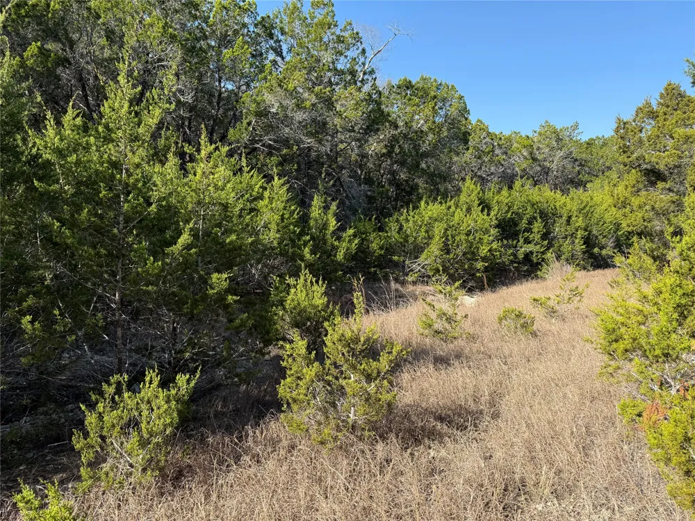 248 Kellog Fischer, TX 78623