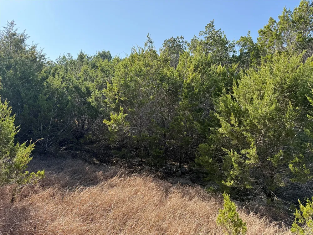 248 Kellog Fischer, TX 78623