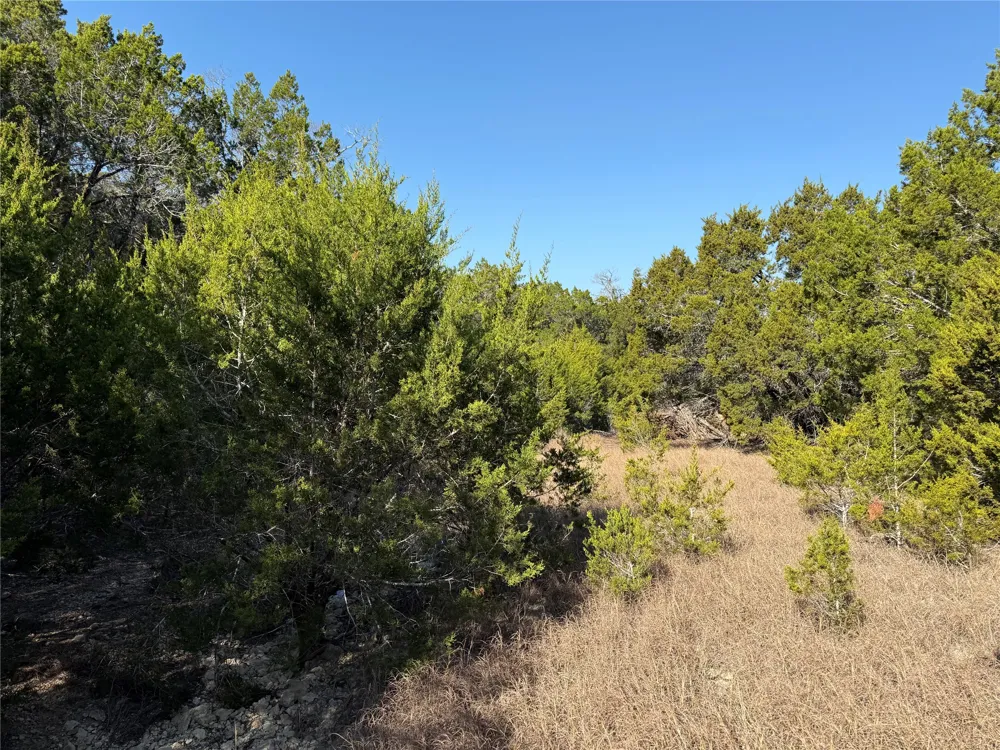 248 Kellog Fischer, TX 78623