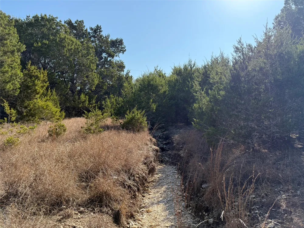 248 Kellog Fischer, TX 78623