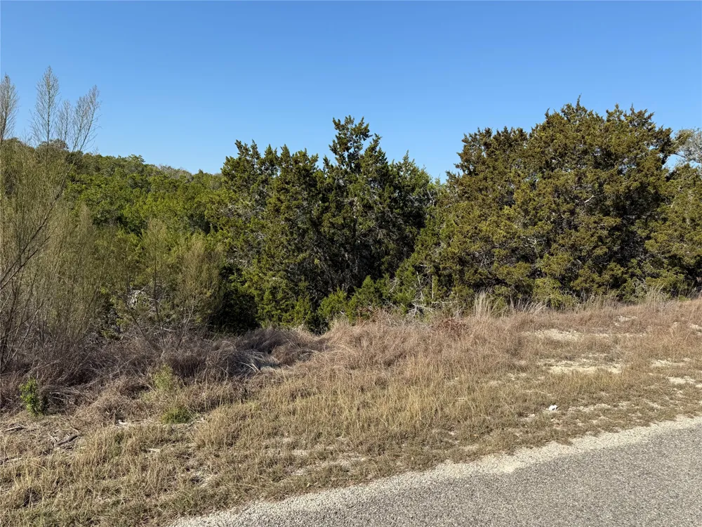 248 Kellog Fischer, TX 78623