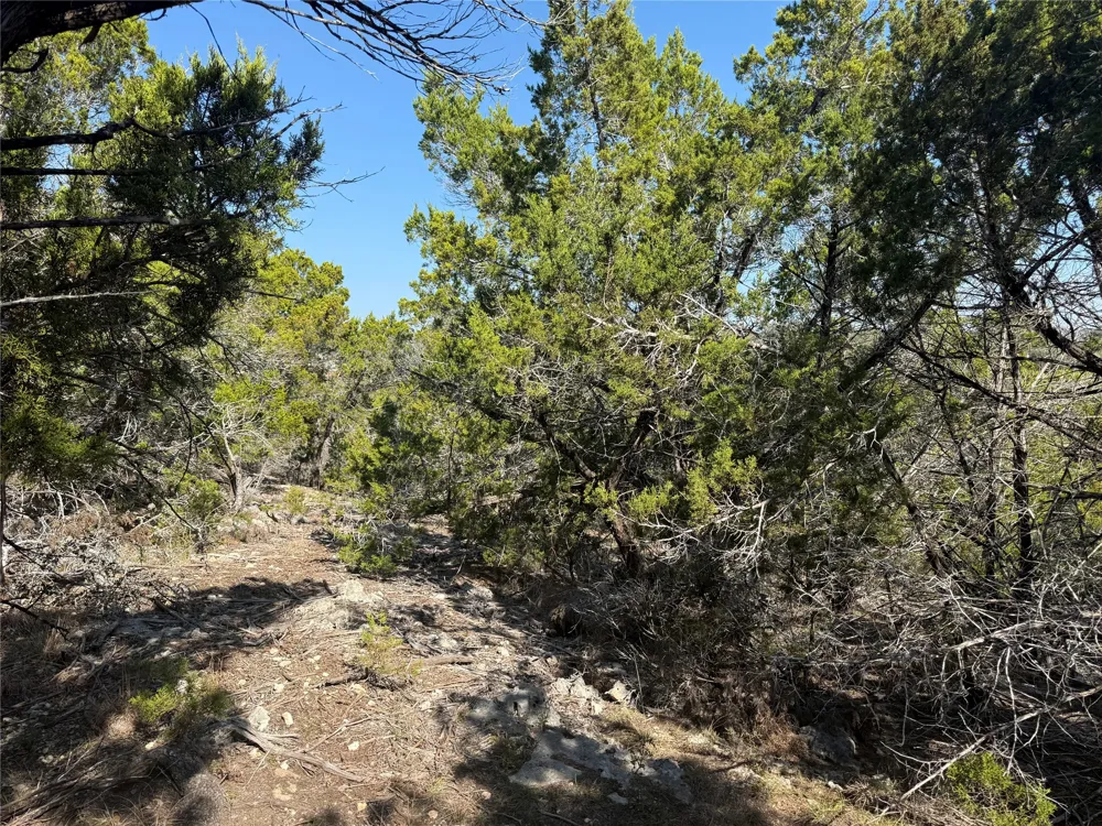 248 Kellog Fischer, TX 78623