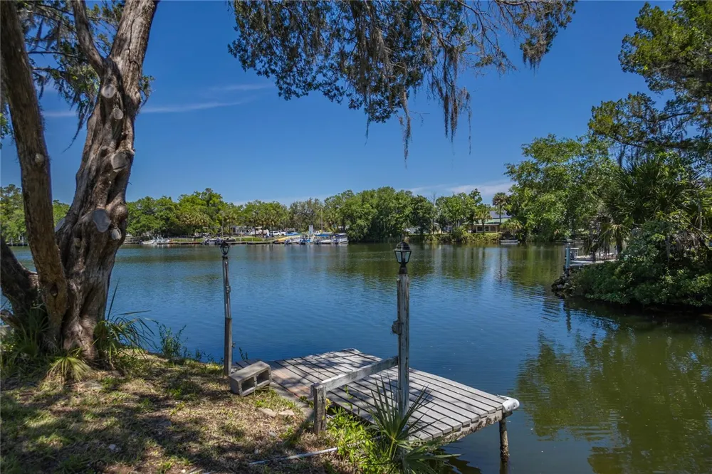 3861 RINGDOVE POINT Crystal River, FL 34428