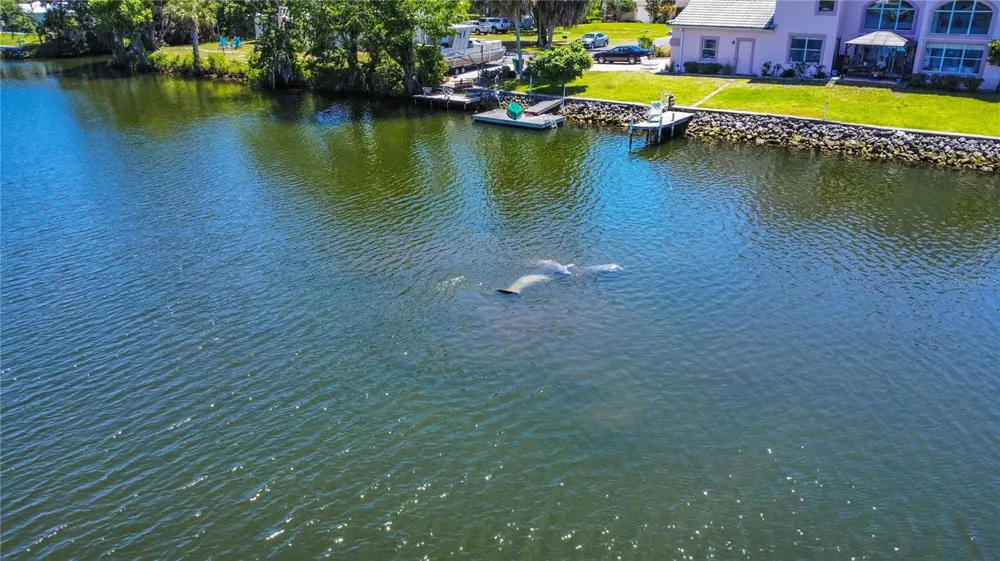 3861 RINGDOVE POINT Crystal River, FL 34428
