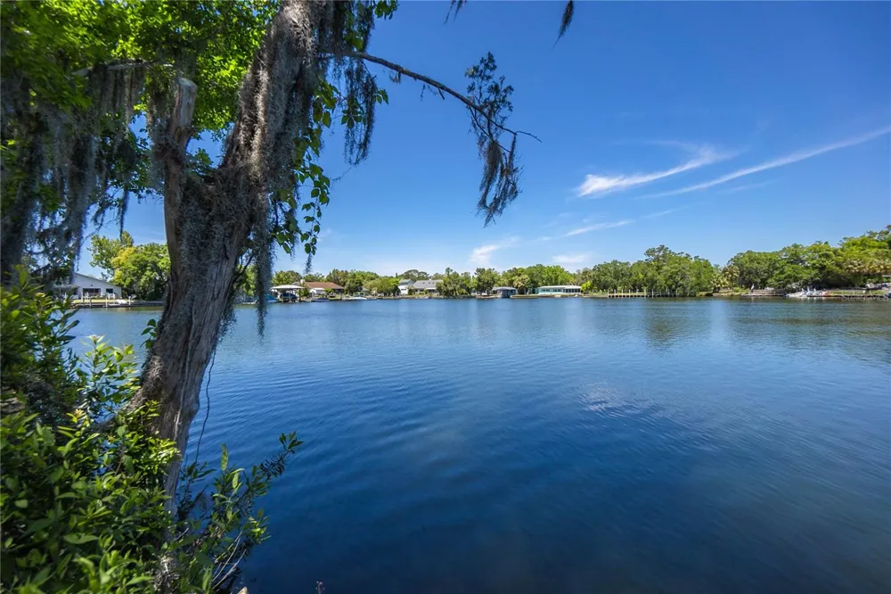 3861 RINGDOVE POINT Crystal River, FL 34428