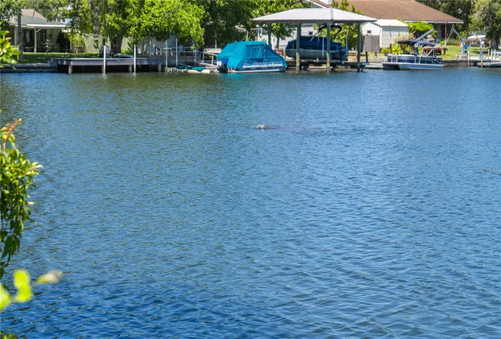 3861 RINGDOVE POINT Crystal River, FL 34428