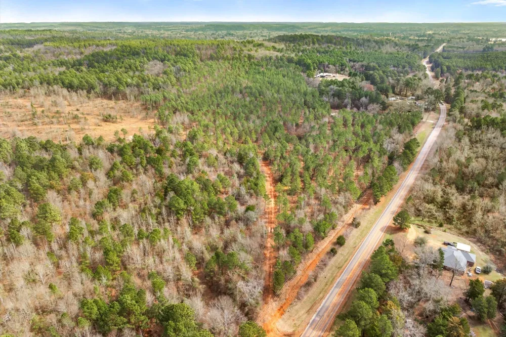Fm-144 Daingerfield, TX 75638