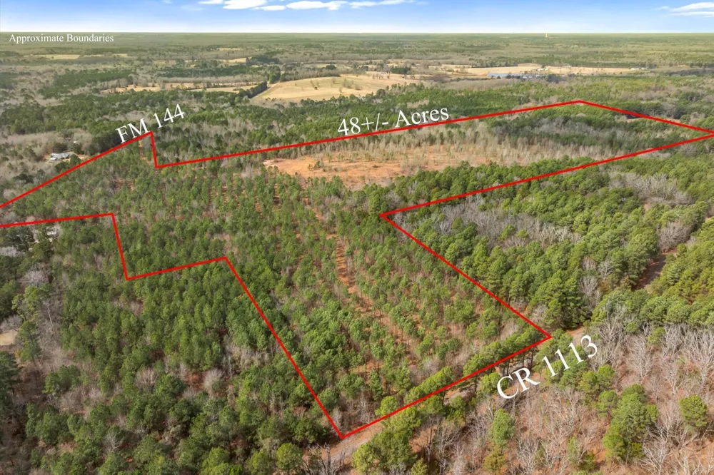 Fm-144 Daingerfield, TX 75638