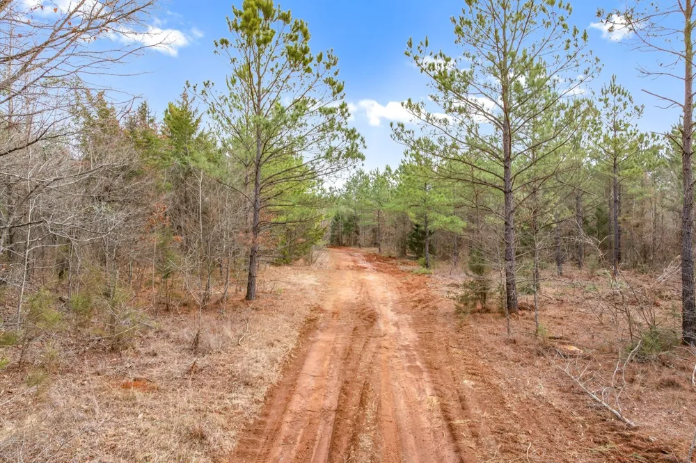 Fm-144 Daingerfield, TX 75638