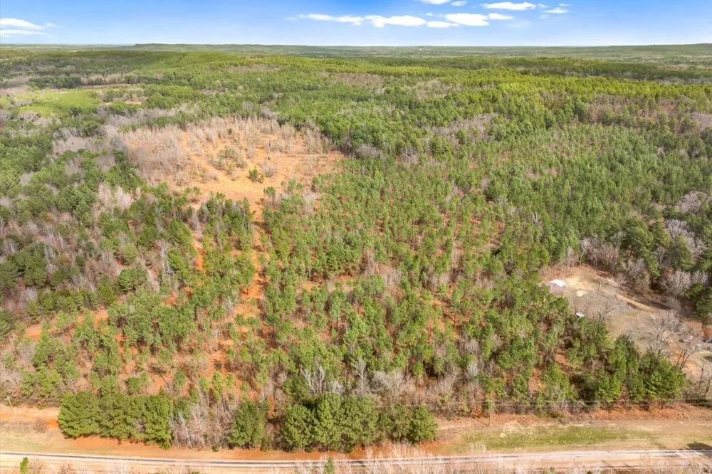 Fm-144 Daingerfield, TX 75638