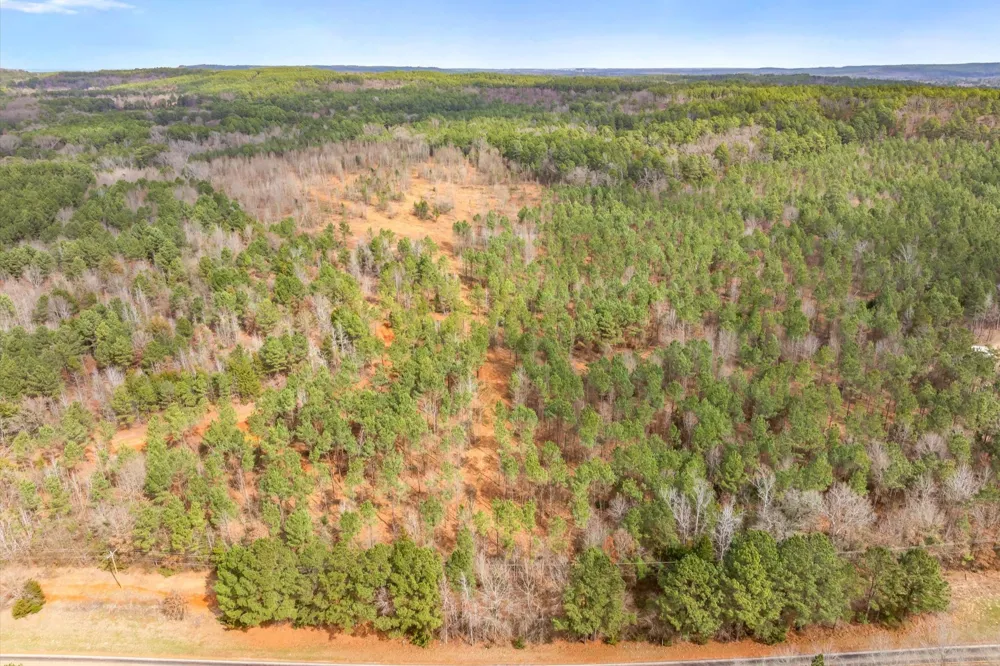 Fm-144 Daingerfield, TX 75638