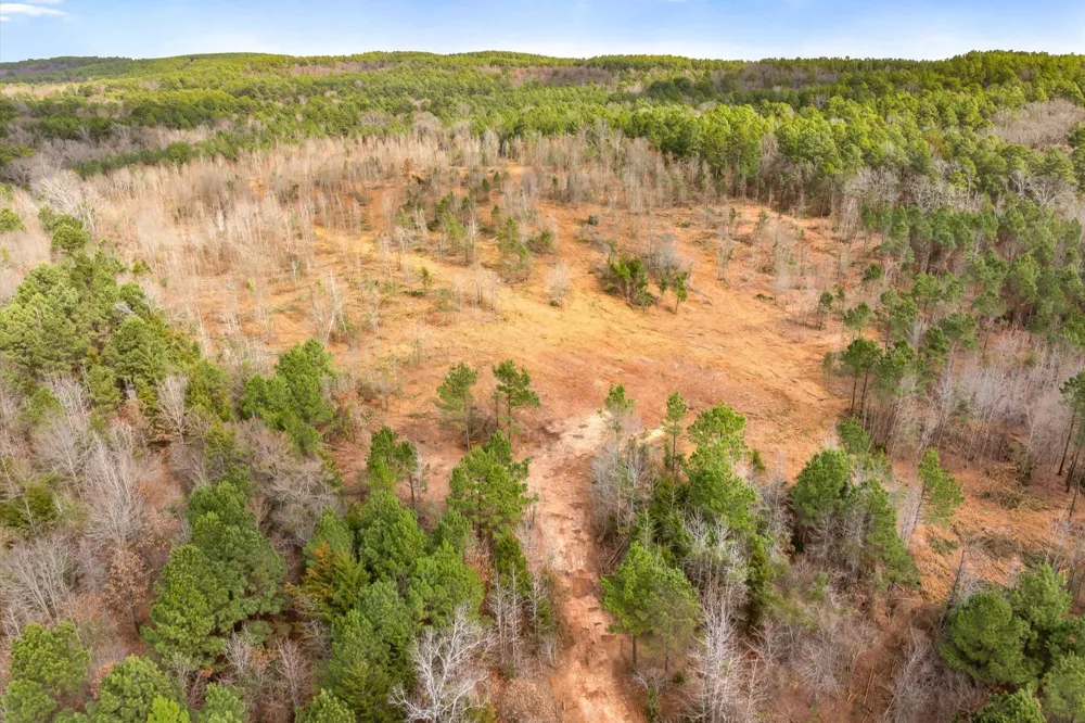 Fm-144 Daingerfield, TX 75638