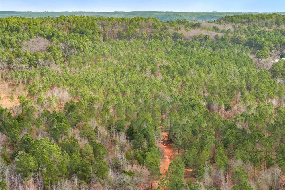 Fm-144 Daingerfield, TX 75638