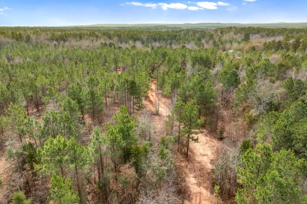Fm-144 Daingerfield, TX 75638