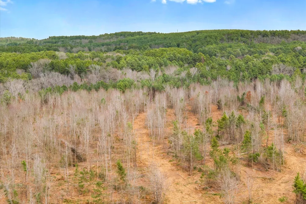 Fm-144 Daingerfield, TX 75638