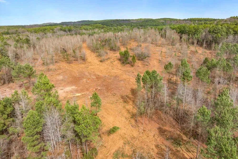 Fm-144 Daingerfield, TX 75638