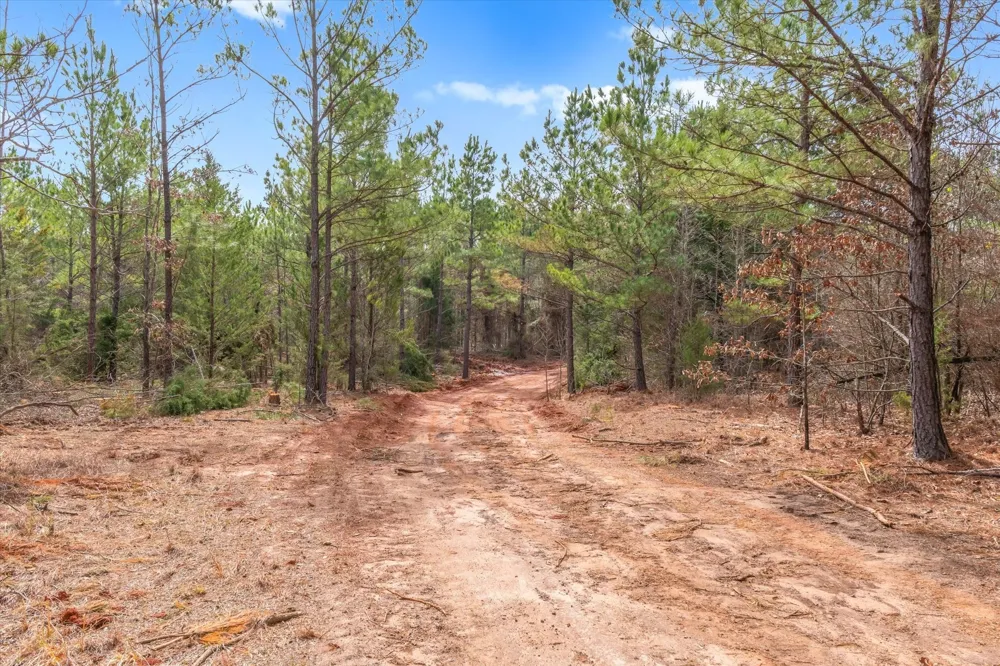 Fm-144 Daingerfield, TX 75638