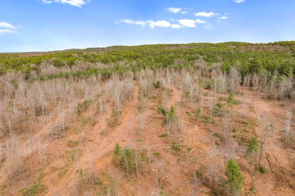 Fm-144 Daingerfield, TX 75638
