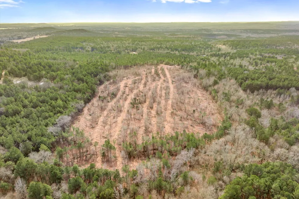 Fm-144 Daingerfield, TX 75638