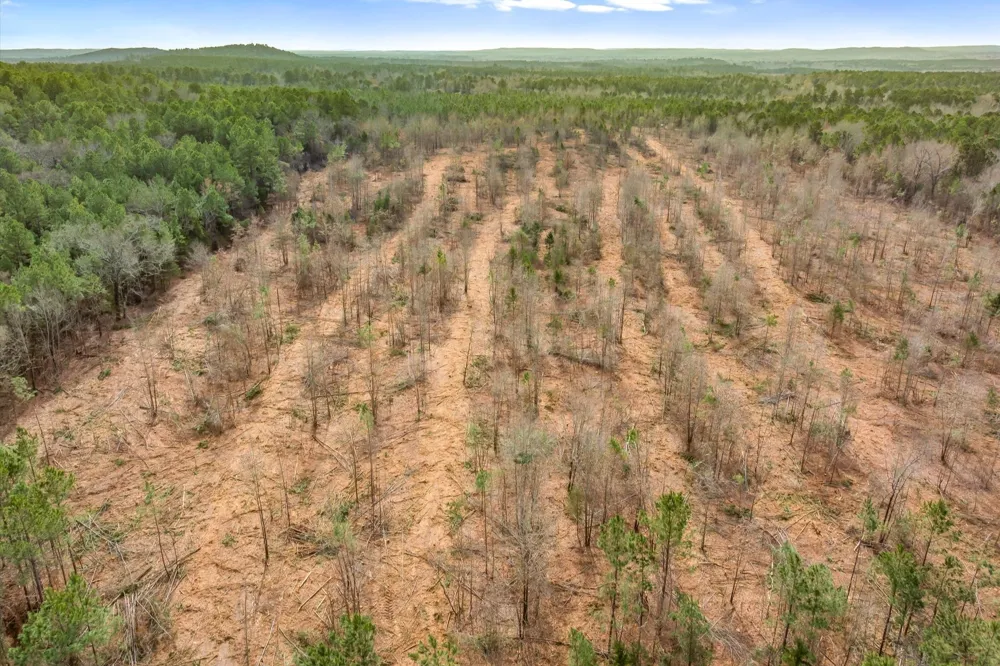 Fm-144 Daingerfield, TX 75638