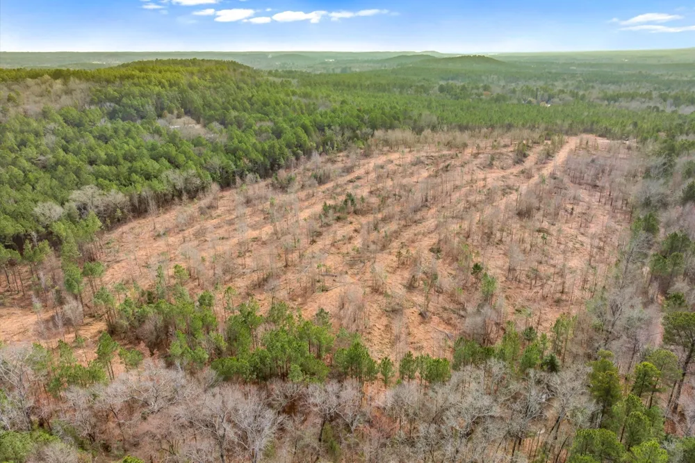 Fm-144 Daingerfield, TX 75638
