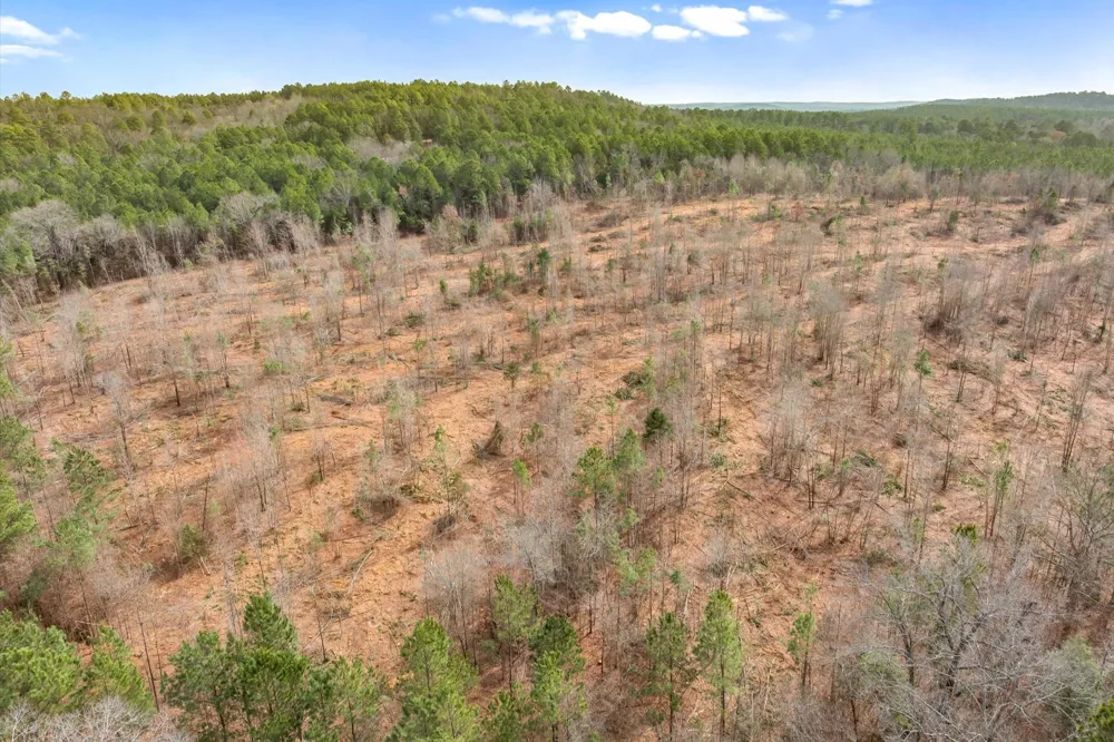 Fm-144 Daingerfield, TX 75638