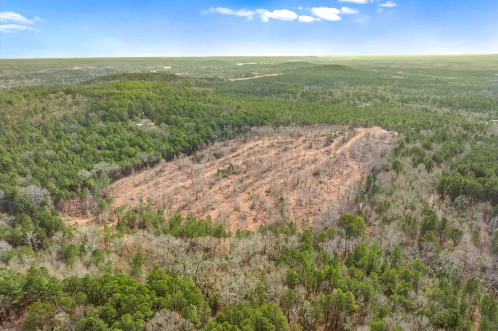 Fm-144 Daingerfield, TX 75638