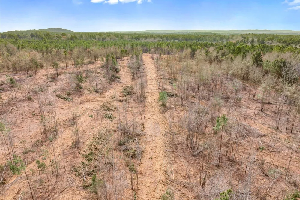 Fm-144 Daingerfield, TX 75638