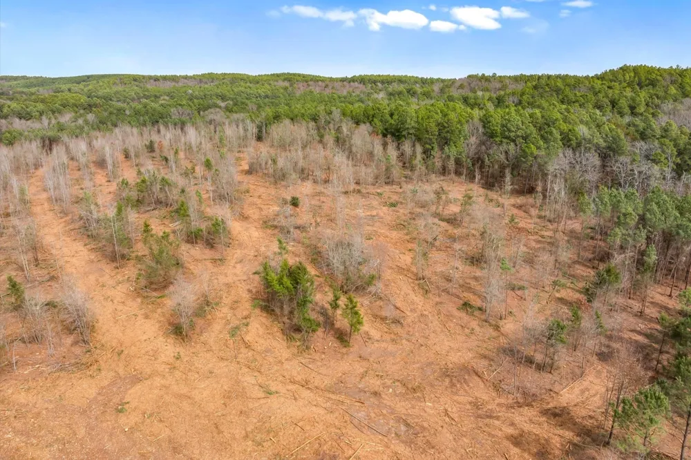 Fm-144 Daingerfield, TX 75638
