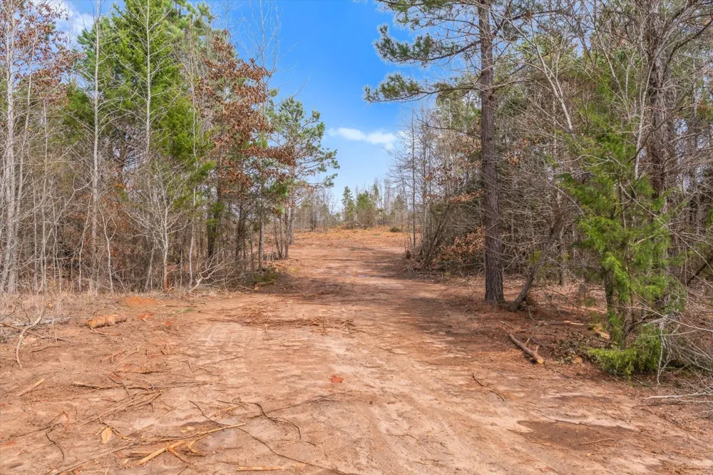 Fm-144 Daingerfield, TX 75638