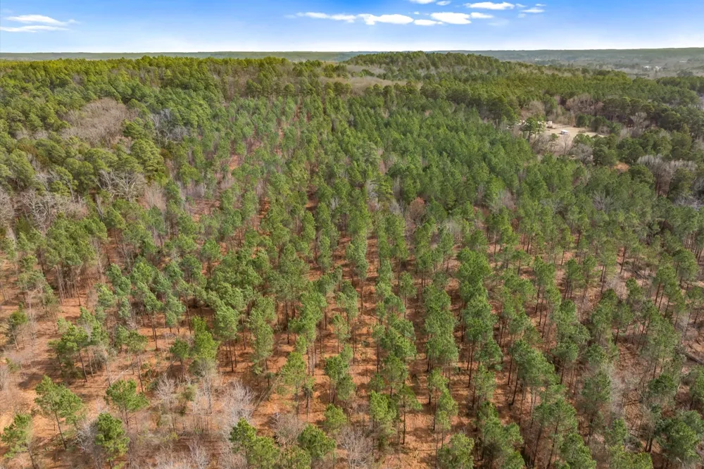 Fm-144 Daingerfield, TX 75638