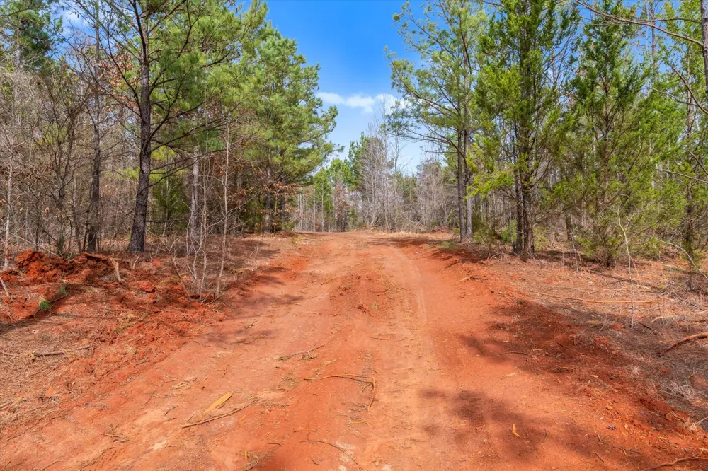 Fm-144 Daingerfield, TX 75638