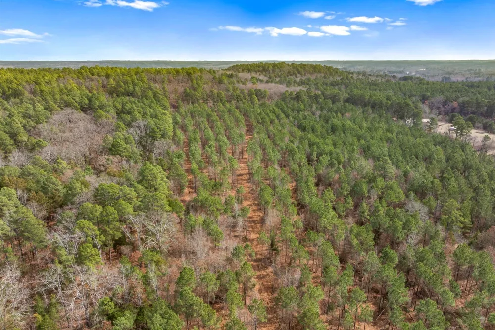 Fm-144 Daingerfield, TX 75638