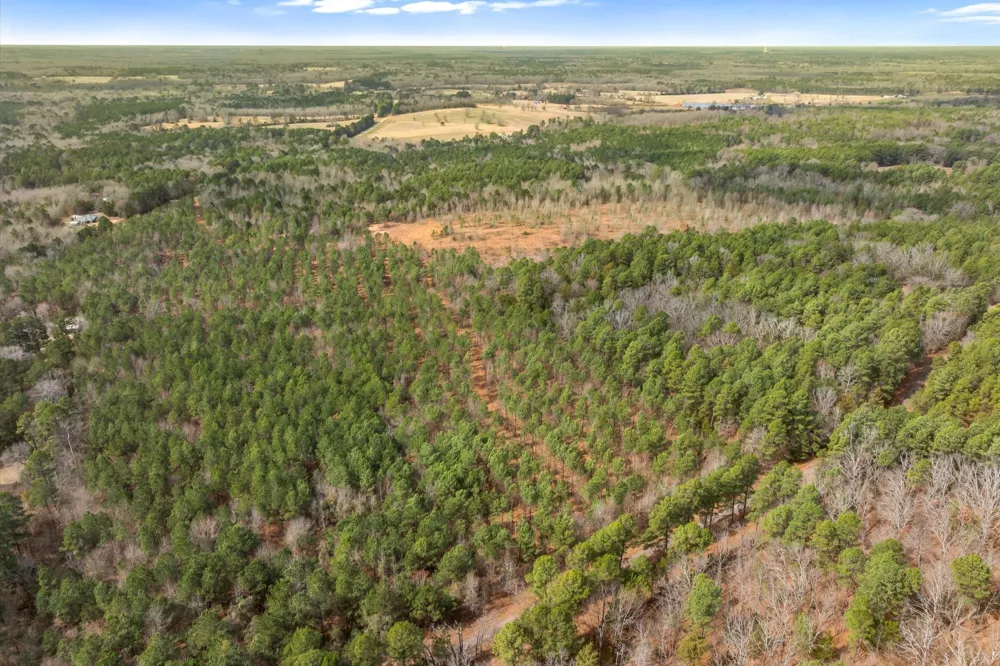 Fm-144 Daingerfield, TX 75638