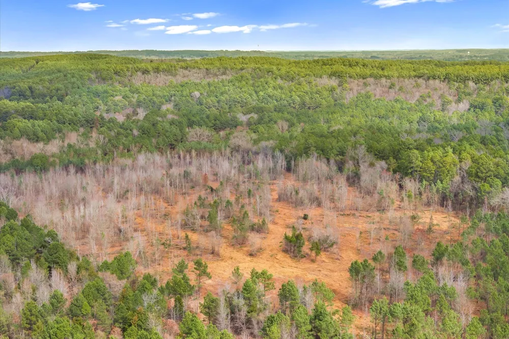 Fm-144 Daingerfield, TX 75638