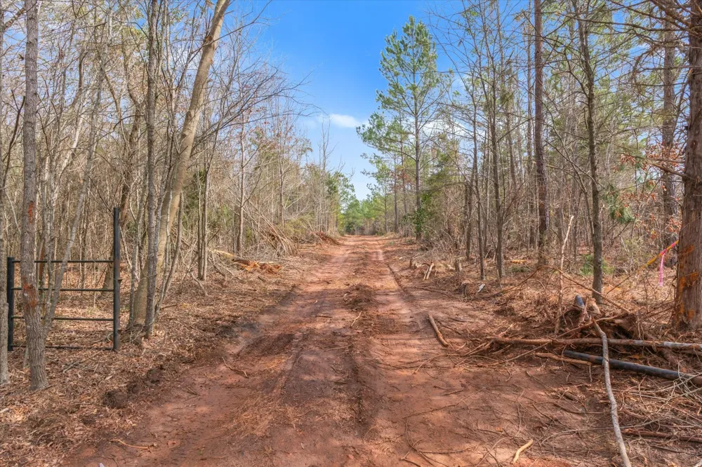 Fm-144 Daingerfield, TX 75638