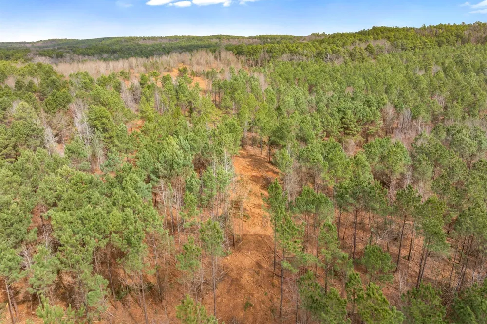 Fm-144 Daingerfield, TX 75638
