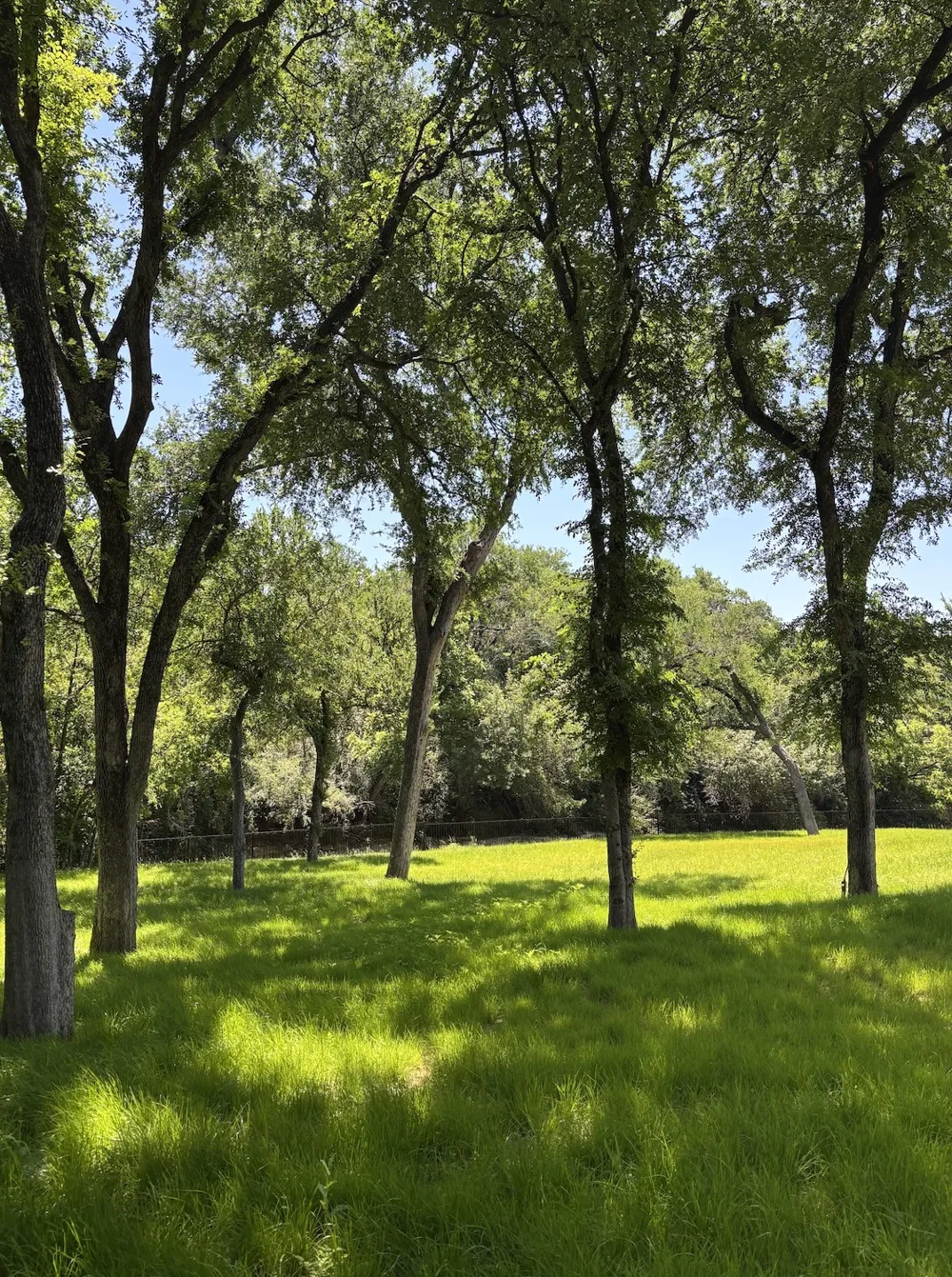 10010 Strait Lane Dallas, TX 75229