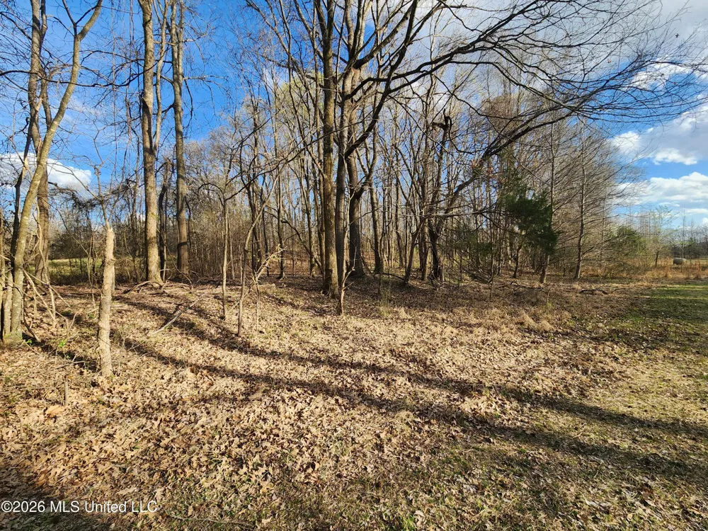 Aaron Road Sarah, MS 38665