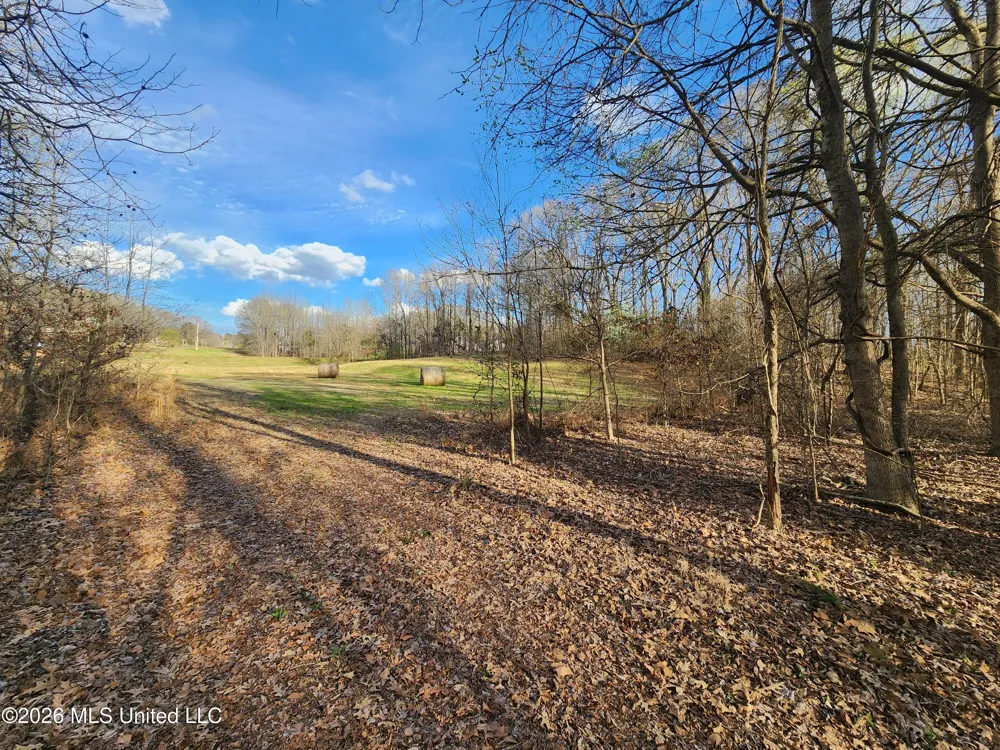Aaron Road Sarah, MS 38665