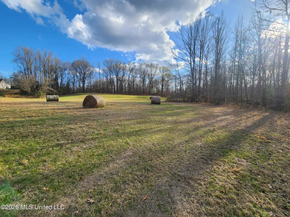Aaron Road Sarah, MS 38665