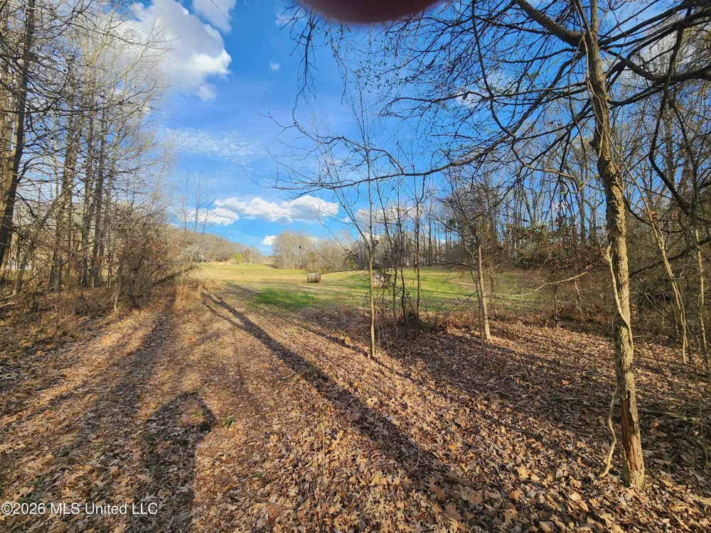 Aaron Road Sarah, MS 38665