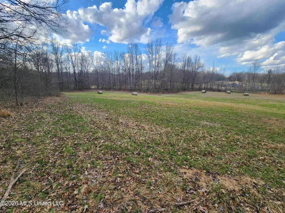 Aaron Road Sarah, MS 38665